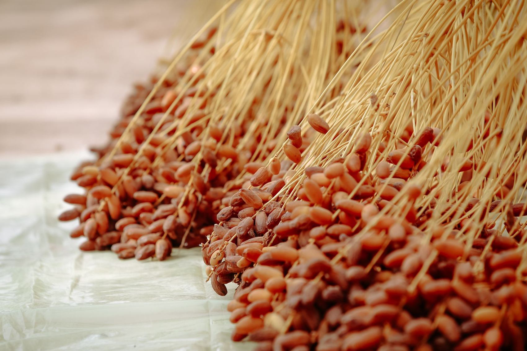 Dates from Pure Nature Farm palm groves